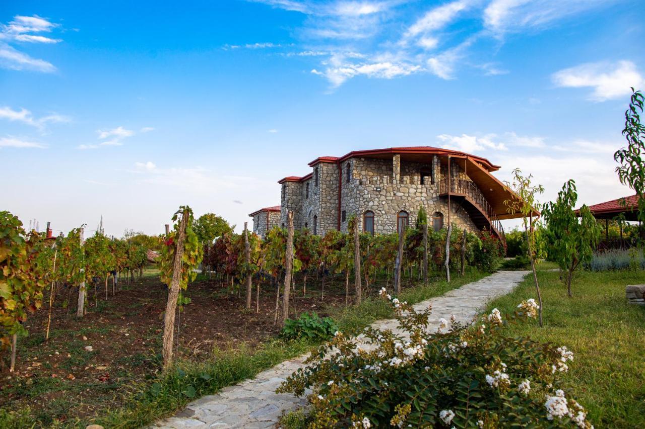 Chateau Tetri Bairagebi White Flags Kisiskhevi 外观 照片