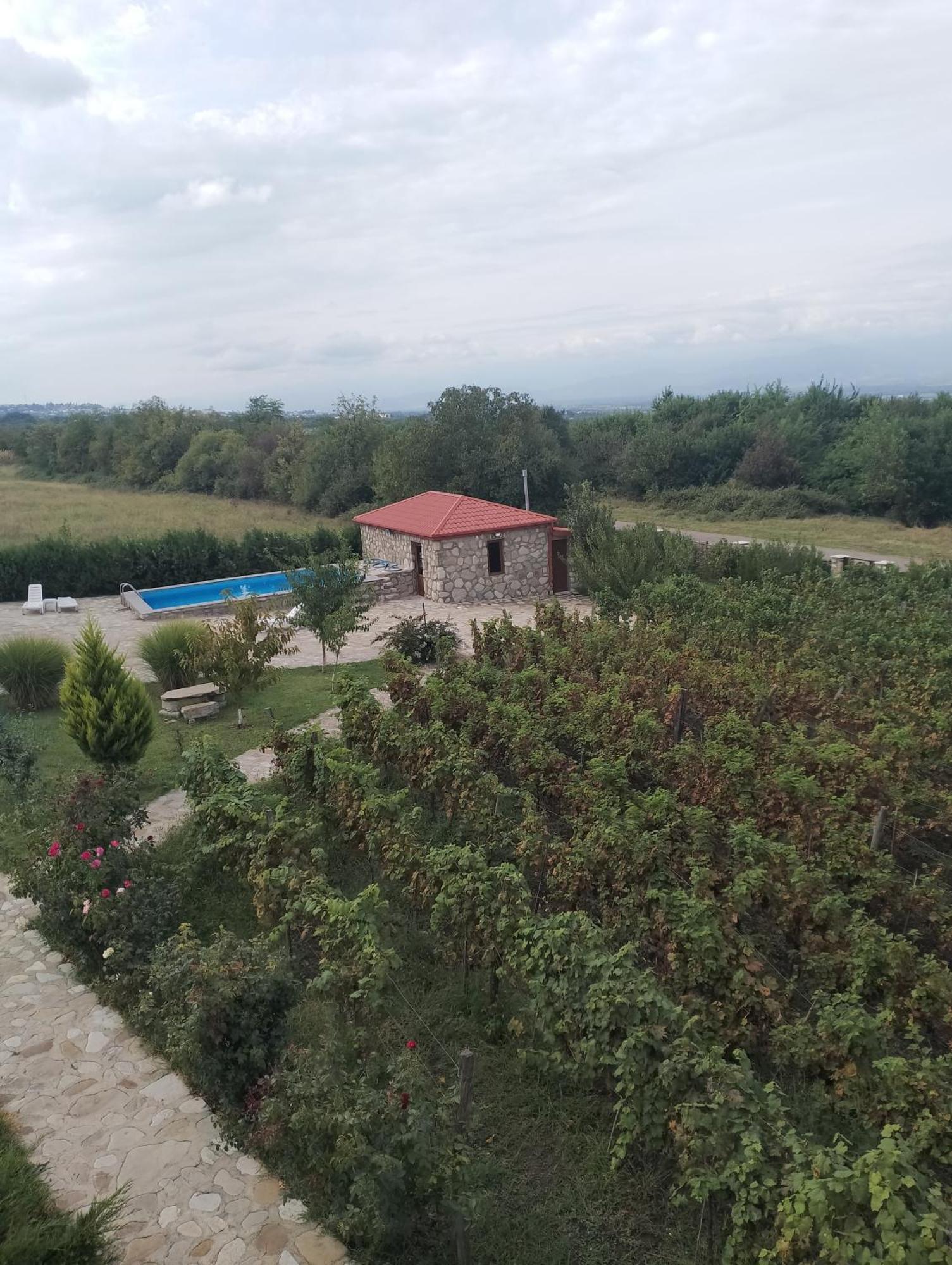 Chateau Tetri Bairagebi White Flags Kisiskhevi 外观 照片