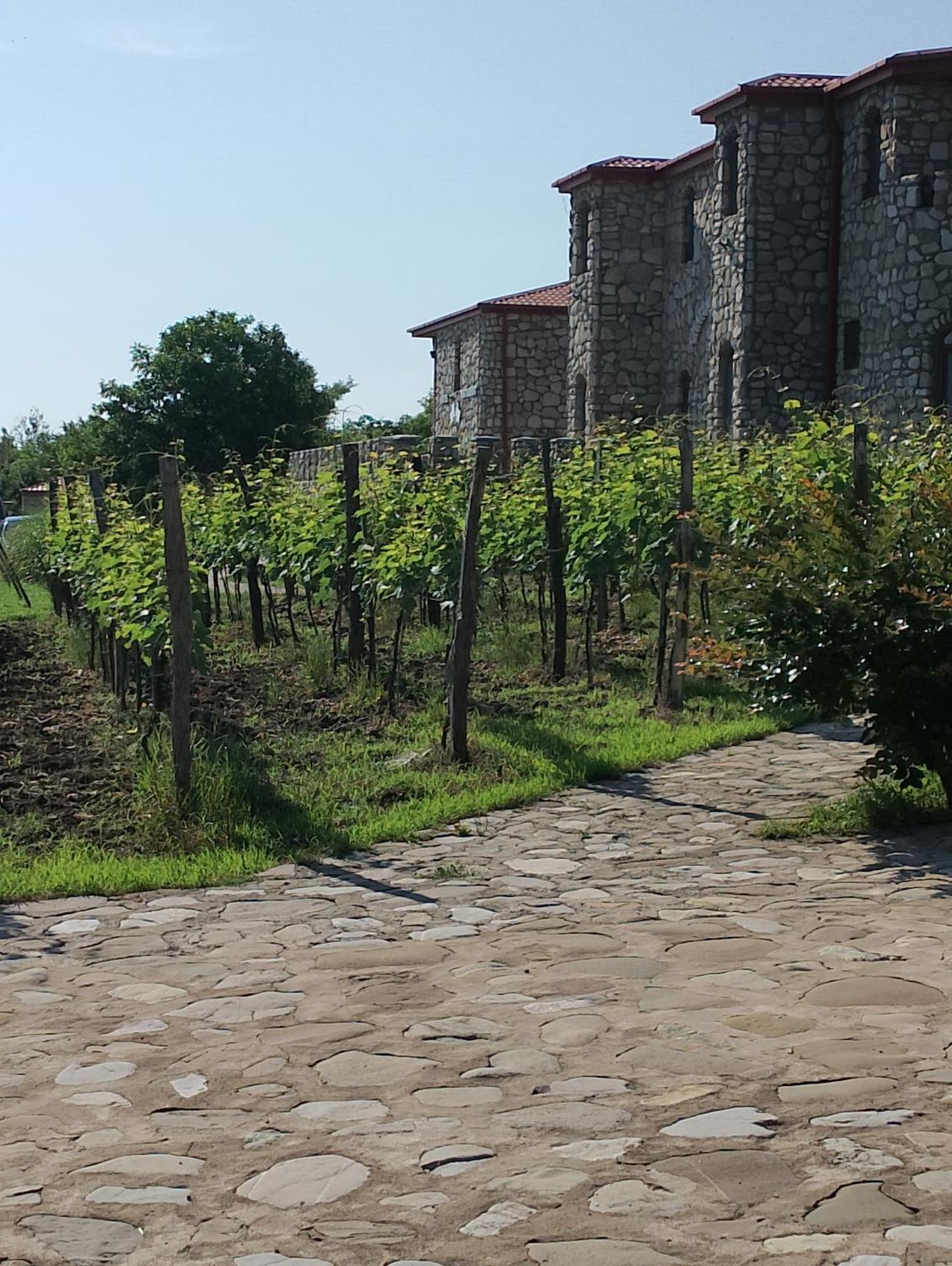 Chateau Tetri Bairagebi White Flags Kisiskhevi 外观 照片